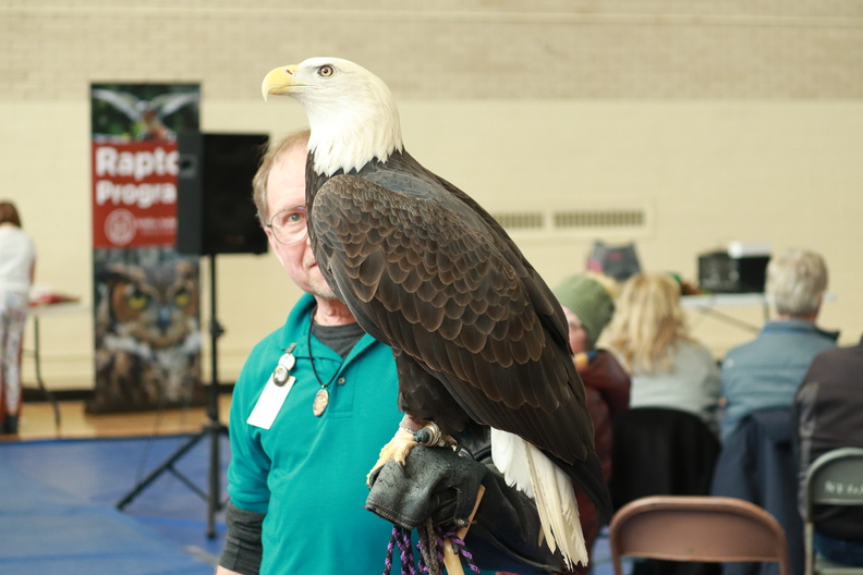 eagle event appreciation people winter