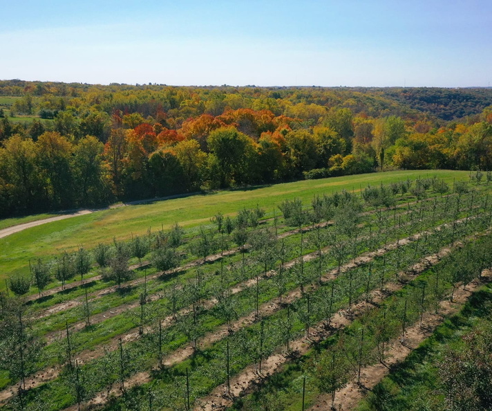 shihata orchard apple apples fall 