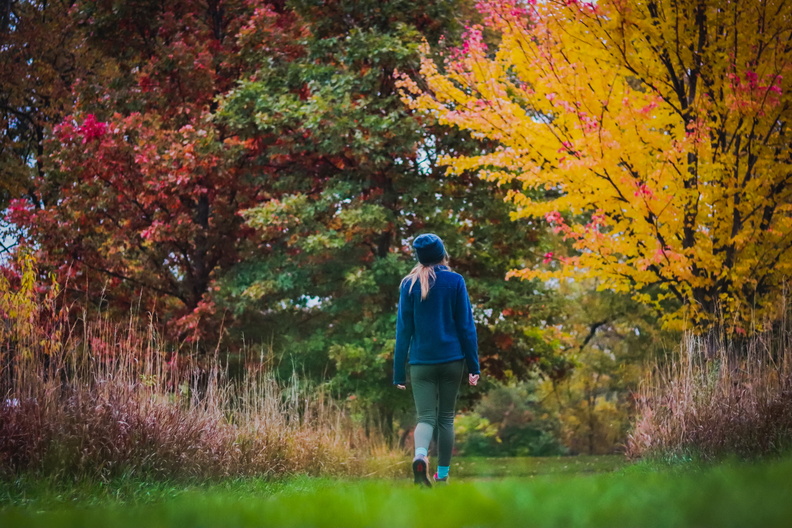 fall people hike park la riviere nature