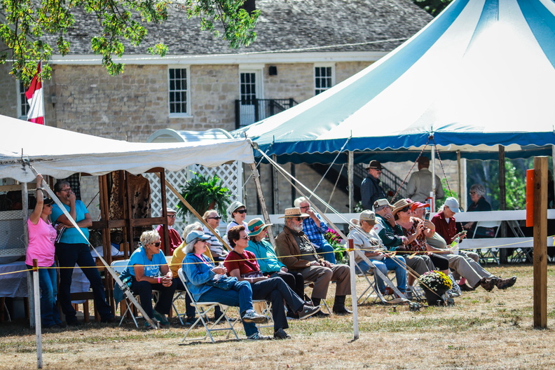 fall people event carriage classic villa louis island