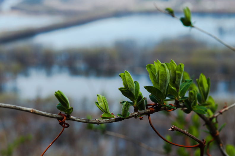 wyalusing spring nature park camping hiking river